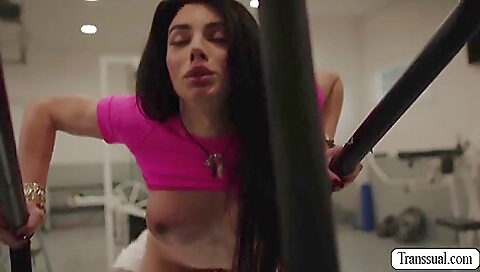 Brunette babe gets her asshole fucked hard and rimming too